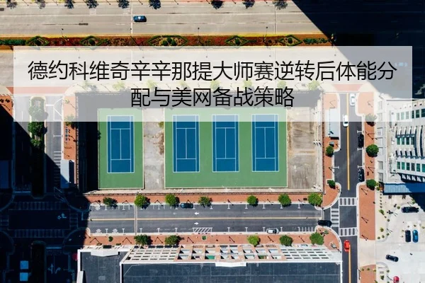 de-yue-ke-wei-qi-xin-xin-na-ti-da-shi-sai-ni-zhuan-hou-ti-neng-fen-pei-yu-mei-wang-bei-zhan-ce-lve-2-344.jpg